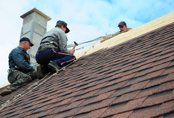 Best Local Roofing Companies  in Vandalia, MO