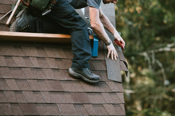 Best Roof Gutter Cleaning  in Vandalia, MO